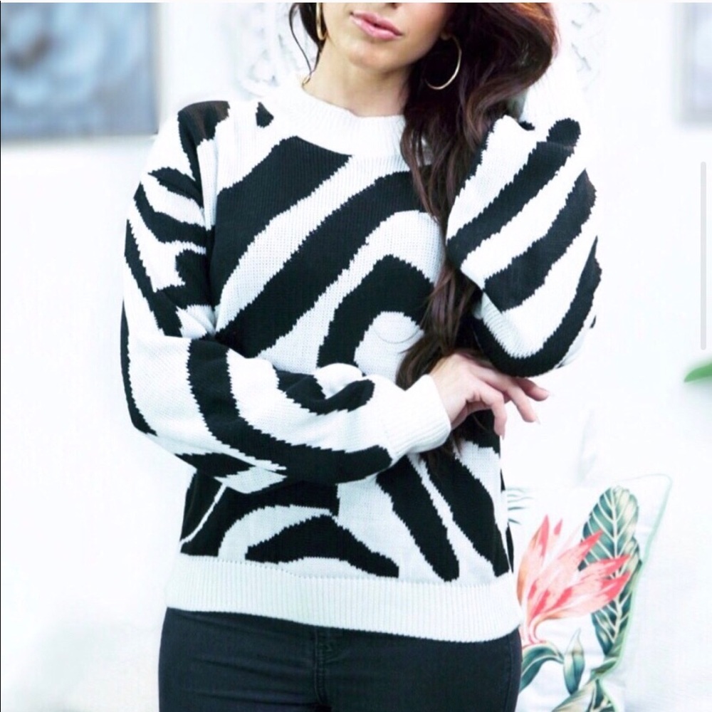 New! Final Price Zebra knitted sweater Black White - Picture 5 of 7